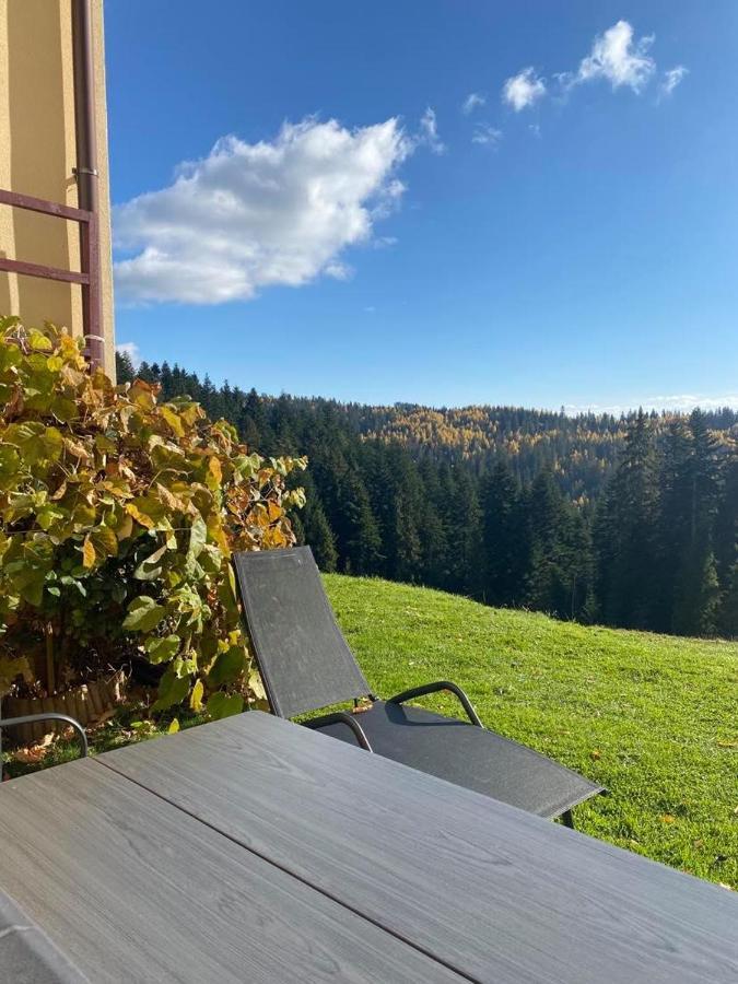 Apartament W Gorach Gorce Neumarkt Exterior foto